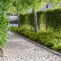 Preview: ARDEBO.de - Rasenkante 30 stk. 103 x 10 cm Stahl Silber