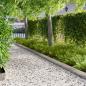 Preview: ARDEBO.de - Rasenkante 30 stk. 103 x 15 cm Stahl Silber