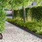 Preview: ARDEBO.de - Raseneinfassung 50 stk. 100 x 15 cm Stahl Schwarz