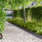 Preview: ARDEBO.de - Raseneinfassung 50 stk. 100 x 15 cm Stahl Anthrazit
