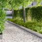 Preview: ARDEBO.de - Raseneinfassung 30 stk. 100 x 25 cm Stahl Silber