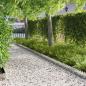 Preview: ARDEBO.de - Raseneinfassung 30 Stk. 103 x 20 cm Stahl Silber