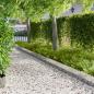 Preview: ARDEBO.de - Raseneinfassung 20 Stk. 103 x 25 cm Stahl Silber