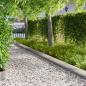 Preview: ARDEBO.de - Raseneinfassung 20 stk. 102 x 15 x 4 cm Stahl Silber