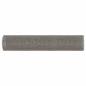 Preview: Mesh Bildschirm 60 x 200 cm 3 Mesh Edelstahl 201 Silber