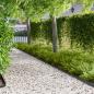Preview: ARDEBO.de - Raseneinfassung 20 stk. 102 x 4 x 4 cm Stahl Schwarz
