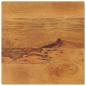 Preview: ARDEBO.de - Tischplatte 60x60x3,8 cm Quadratisch Massivholz Mango