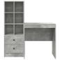 Preview: Schreibtisch mit Schubladen mit Regal 2 pcs Beton Grau