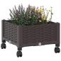 Preview: Gartenpflanzer mit Rädern Braun 40 x 40 x 29 cm PP