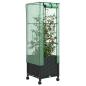 Preview: Gartenplanter mit Gewächshausabdeckung und Rädern Schwarz PP