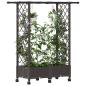 Preview: Hochbeet mit Rankgitter und Dach Braun 122,5 x 40 x 127 cm PP