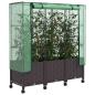 Preview: Gartenplanter mit Gewächshausabdeckung und Rädern 3 stk. Braun