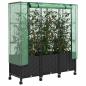 Preview: Gartenplanter mit Gewächshausabdeckung und Rädern 3 stk. PP