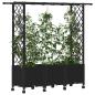 Preview: Hochbeet mit Rankgitter und Dach Schwarz 162,5 x 40 x 142 cm PP