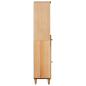 Preview: Badezimmerschrank Braun 38 x 33,5 x 160 cm Massivholz Mango