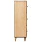 Preview: Stauraumschränke Braun 40 x 33,5 x 110 cm Massivholz Mango