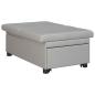 Preview: Schlafsofa Ausziehbar Grau 194 x 50 x 82 cm Stoff