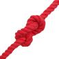 Preview: Baumwollseil 12 mm 25 m Rot 100% Baumwolle