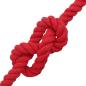 Preview: Baumwollseil 24 mm 50 m Rot 100% Baumwolle