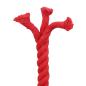 Preview: Baumwollseil 24 mm 50 m Rot 100% Baumwolle