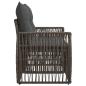 Preview: Garten-Sofa 2-Sitzanzahl Grau Poly-Rattan