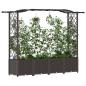 Preview: Hochbeet mit Rankgitter und Dach Braun 204 x 40 x 138 cm PP