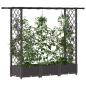 Preview: Hochbeet mit Rankgitter und Dach Braun 164 x 40 x 121 cm PP