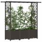 Preview: Hochbeet mit Rankgitter und Dach Braun 162,5 x 40 x 136 cm PP