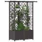 Preview: Hochbeet mit Rankgitter und Dach Braun 124 x 40 x 136 cm PP