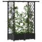 Preview: Hochbeet mit Rankgitter und Dach Schwarz 122,5 x 40 x 121 cm PP