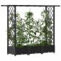 Preview: Hochbeet mit Rankgitter und Dach Schwarz 164 x 40 x 121 cm PP