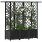Preview: Hochbeet mit Rankgitter und Dach Schwarz 163,5 x 40 x 136 cm PP