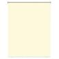 Preview: Außen-Rollos mit UV-Schutz Creme 185 x 140 cm (B x H) Polyester
