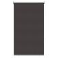 Preview: Außen-Rollos mit UV-Schutz Anthrazit 100 x 230 cm (B x H)