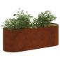 Preview: Hochbeet im Garten Wetterfeststahl 120 x 40 x 40 cm