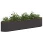 Preview: Hochbeet im Garten Schwarz 220 x 40 x 40 cm Stahl