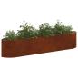 Preview: Hochbeet im Garten Wetterfeststahl 220 x 40 x 40 cm Stahl