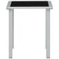 Preview: Gartentisch Schwarz und Silbern 41x41x45 cm Stahl und Glas