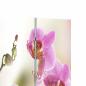 Preview: Raumteiler klappbar 120 x 170 cm Blume