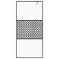 Preview: Duschwand f?r Begehbare Dusche mit Klarem ESG Glas 100x195 cm