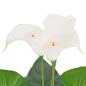 Preview: Künstliche Calla-Lilie mit Topf 85 cm Weiß