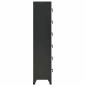 Preview: Schlie?fachschrank Anthrazit 38x40x180 cm Stahl