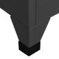 Preview: Schlie?fachschrank Anthrazit 38x40x180 cm Stahl