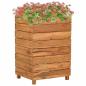 Preview: ARDEBO.de - Hochbeet 50x40x72 cm Teak Altholz und Stahl