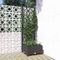 Preview: ARDEBO.de - Garten-Pflanzgefäß mit Spalier Schwarz 40 x 40 x 121,5 cm PP