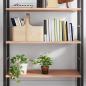 Preview: ARDEBO.de - Wandregal Hellbraun 100x50x2 cm Massivholz Eiche Behandelt