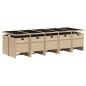 Preview: 11-tlg. Garten-Essgruppe mit Kissen Beigemischung Poly Rattan