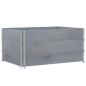Preview: Pflanzkasten Grau 120x80 cm Massivholz Kiefer