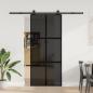 Preview: ARDEBO.de - Schiebetür mit Beschlag 90x205 cm Hartglas & Aluminium
