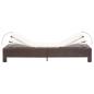 Preview: Sonnenliege mit Auflage Braun Poly Rattan